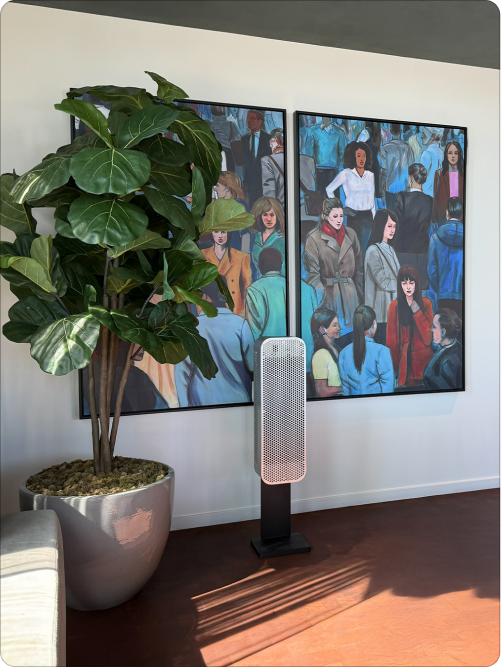 HIVE beside a fiddle-leaf fig in a living room