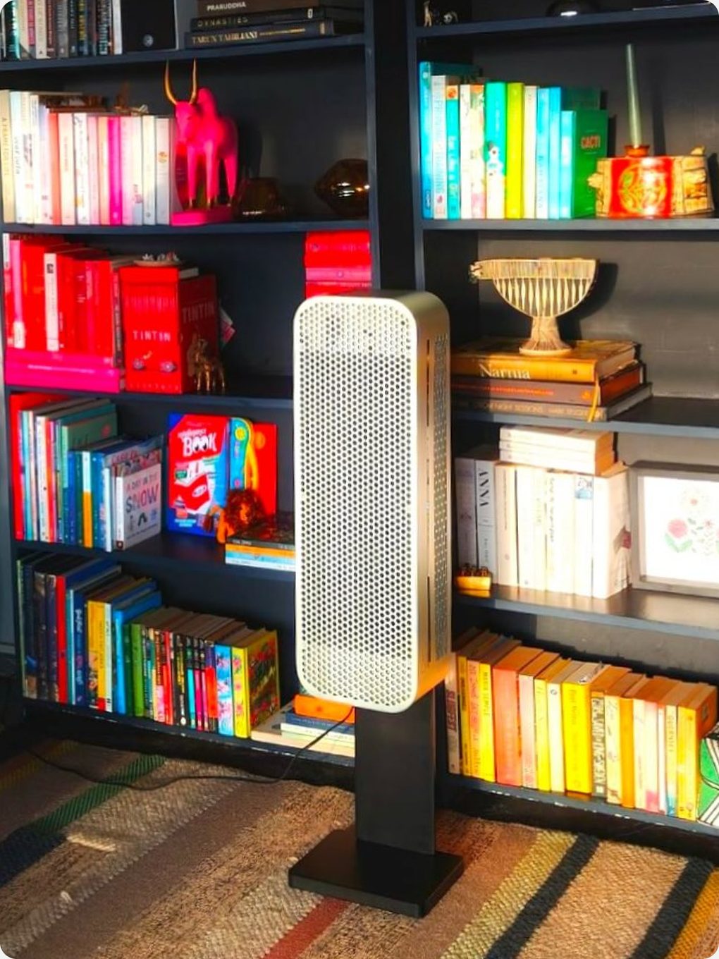 HIVE on its stand in front of colour-sorted bookshelves