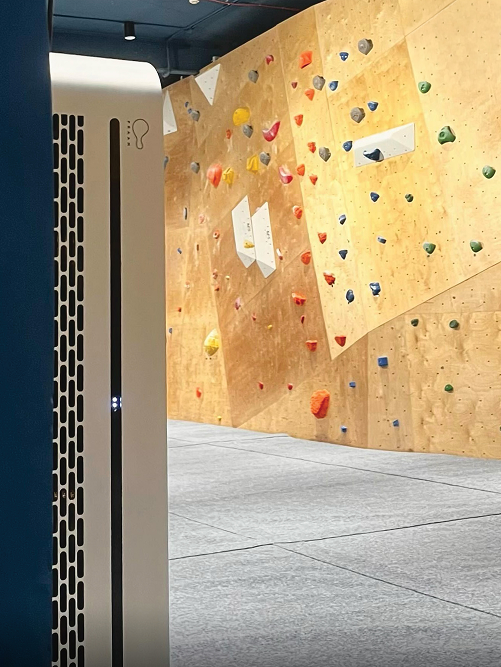 HIVE at the entrance of a climbing gym